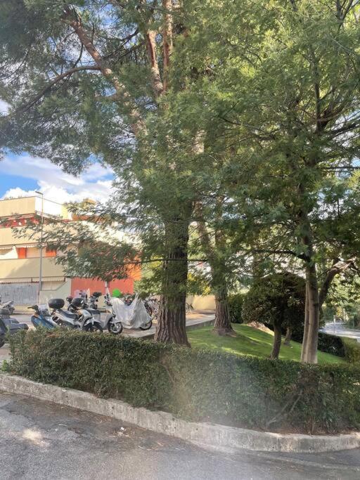 La Casa Di Teri A Chiavari Eksteriør bilde