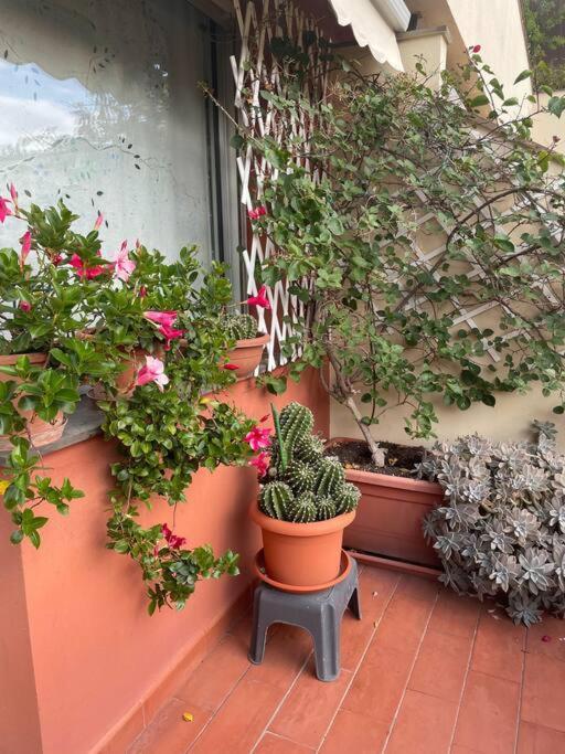 La Casa Di Teri A Chiavari Eksteriør bilde